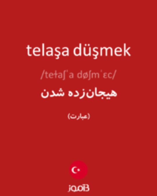  تصویر telaşa düşmek - دیکشنری انگلیسی بیاموز