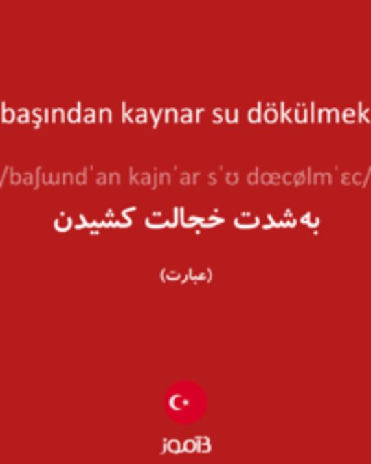  تصویر başından kaynar su dökülmek - دیکشنری انگلیسی بیاموز