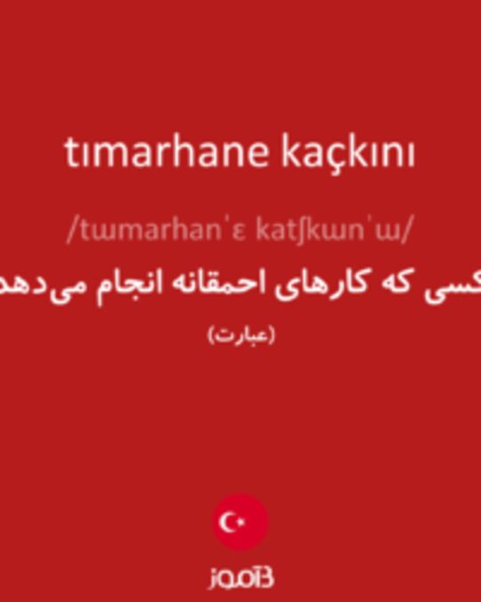  تصویر tımarhane kaçkını - دیکشنری انگلیسی بیاموز