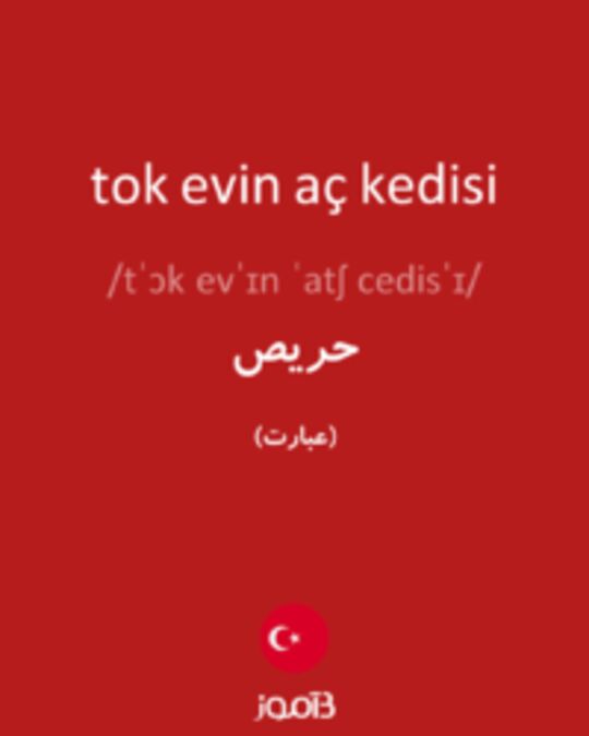  تصویر tok evin aç kedisi - دیکشنری انگلیسی بیاموز