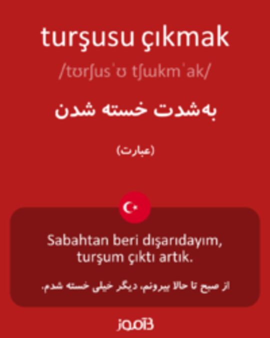  تصویر turşusu çıkmak - دیکشنری انگلیسی بیاموز