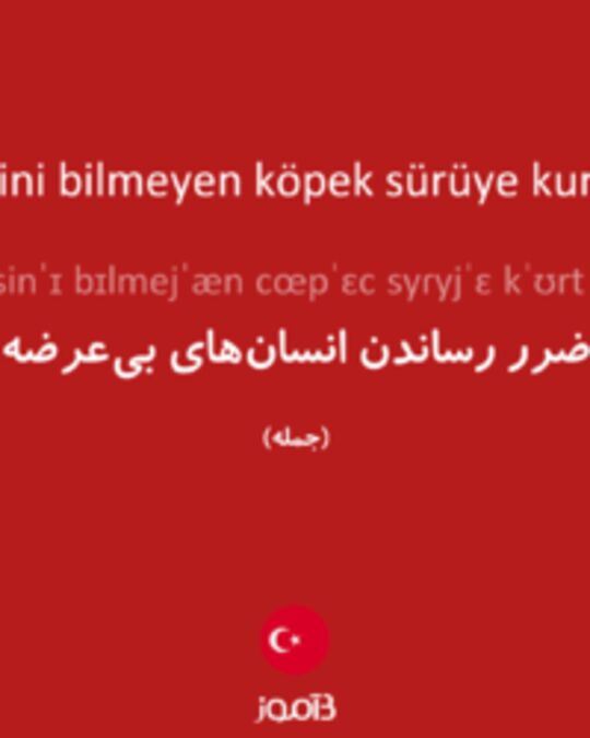  تصویر ürümesini bilmeyen köpek sürüye kurt getirir - دیکشنری انگلیسی بیاموز