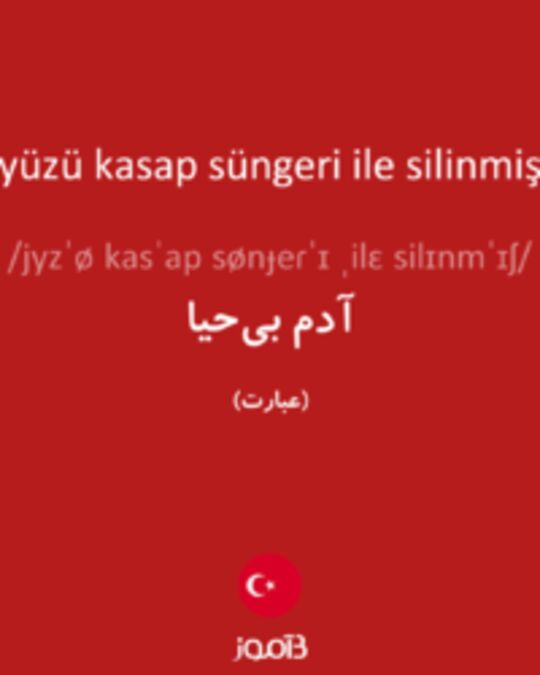  تصویر yüzü kasap süngeri ile silinmiş - دیکشنری انگلیسی بیاموز