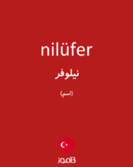  تصویر nilüfer - دیکشنری انگلیسی بیاموز