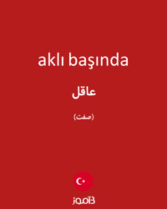  تصویر aklı başında - دیکشنری انگلیسی بیاموز