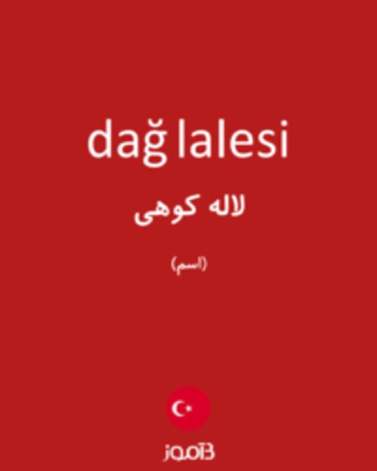  تصویر dağ lalesi - دیکشنری انگلیسی بیاموز