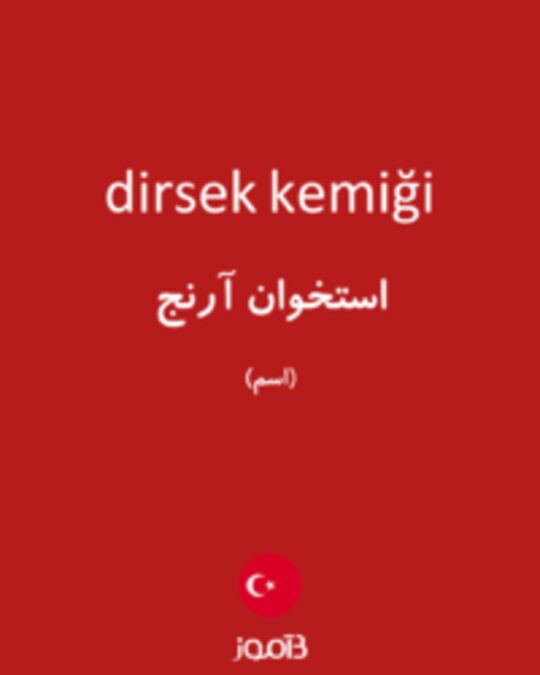  تصویر dirsek kemiği - دیکشنری انگلیسی بیاموز