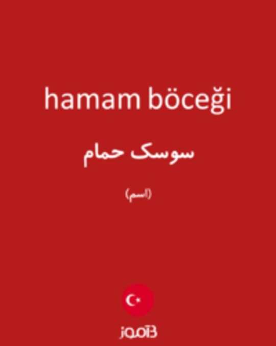  تصویر hamam böceği - دیکشنری انگلیسی بیاموز