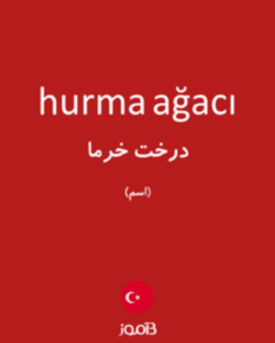  تصویر hurma ağacı - دیکشنری انگلیسی بیاموز