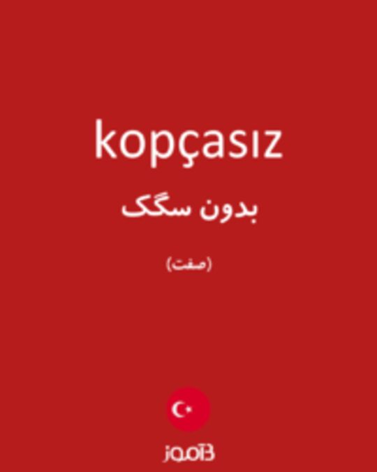  تصویر kopçasız - دیکشنری انگلیسی بیاموز