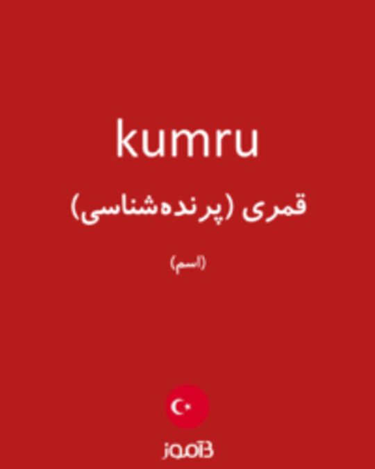  تصویر kumru - دیکشنری انگلیسی بیاموز