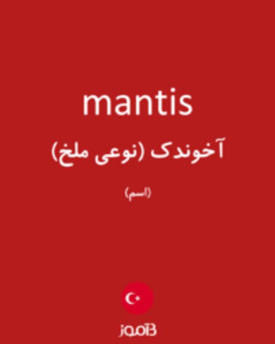  تصویر mantis - دیکشنری انگلیسی بیاموز