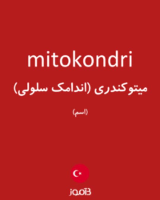  تصویر mitokondri - دیکشنری انگلیسی بیاموز