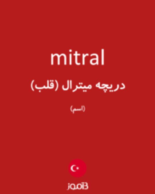  تصویر mitral - دیکشنری انگلیسی بیاموز