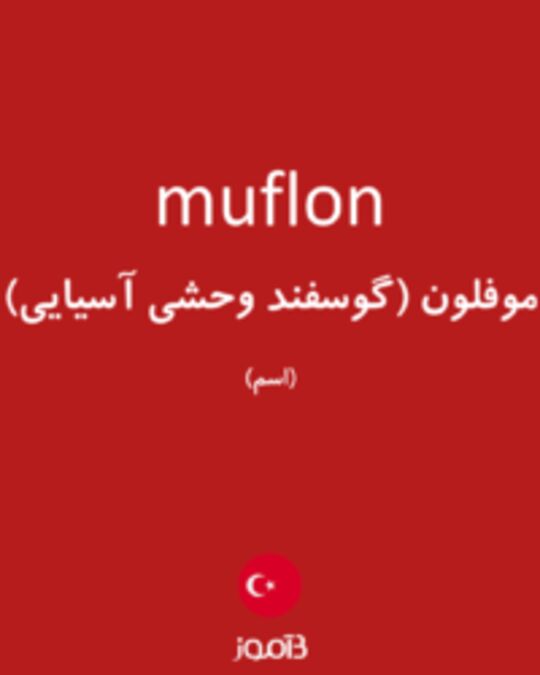  تصویر muflon - دیکشنری انگلیسی بیاموز