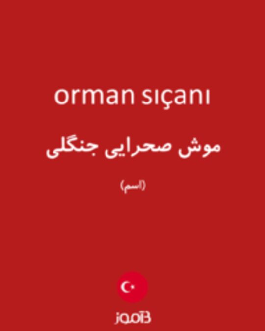  تصویر orman sıçanı - دیکشنری انگلیسی بیاموز