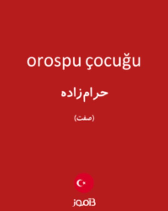  تصویر orospu çocuğu - دیکشنری انگلیسی بیاموز