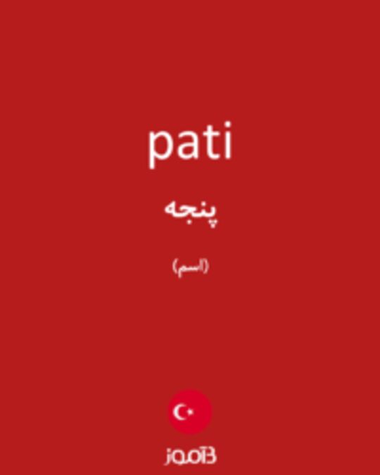  تصویر pati - دیکشنری انگلیسی بیاموز