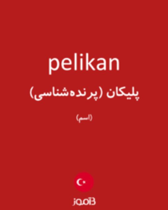  تصویر pelikan - دیکشنری انگلیسی بیاموز