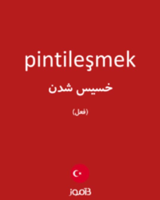  تصویر pintileşmek - دیکشنری انگلیسی بیاموز