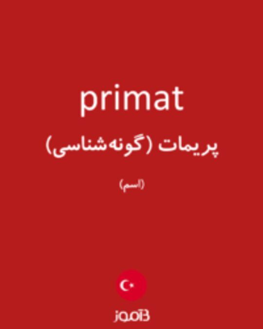  تصویر primat - دیکشنری انگلیسی بیاموز