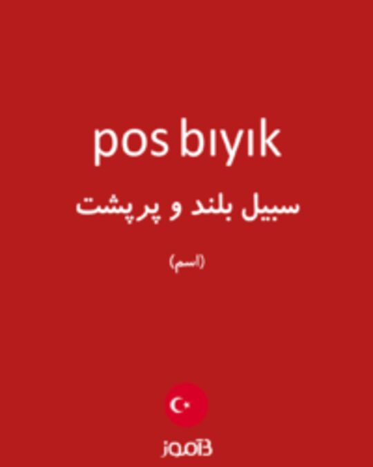  تصویر pos bıyık - دیکشنری انگلیسی بیاموز