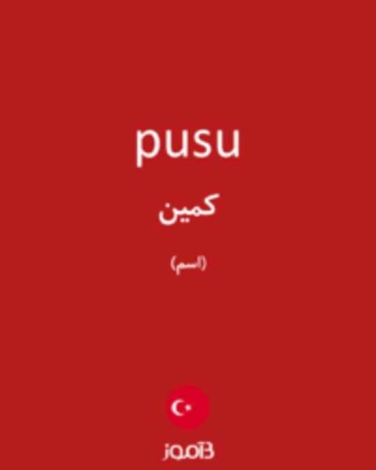  تصویر pusu - دیکشنری انگلیسی بیاموز