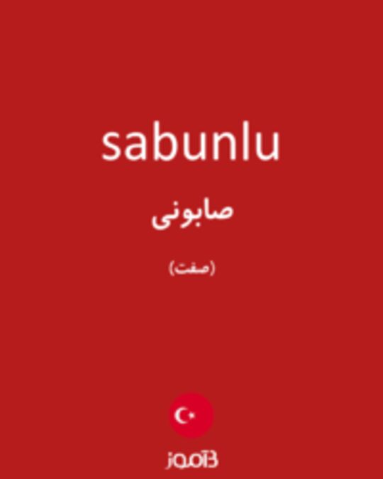  تصویر sabunlu - دیکشنری انگلیسی بیاموز