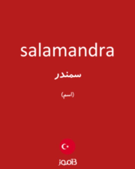  تصویر salamandra - دیکشنری انگلیسی بیاموز