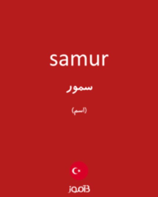  تصویر samur - دیکشنری انگلیسی بیاموز