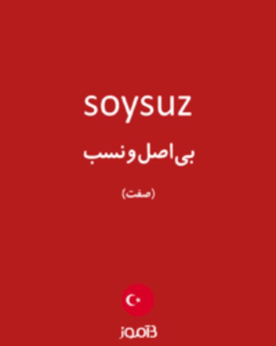  تصویر soysuz - دیکشنری انگلیسی بیاموز