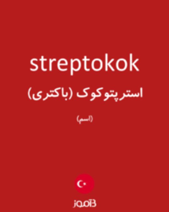  تصویر streptokok - دیکشنری انگلیسی بیاموز