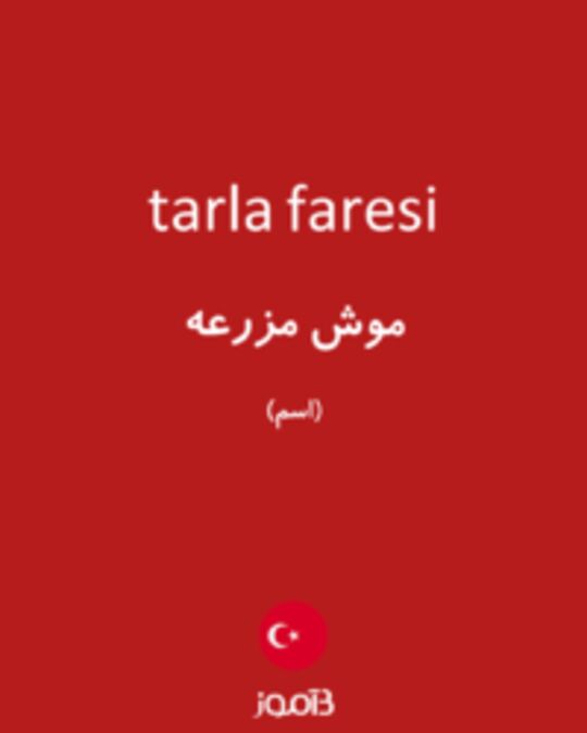  تصویر tarla faresi - دیکشنری انگلیسی بیاموز