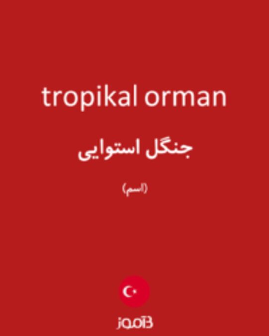  تصویر tropikal orman - دیکشنری انگلیسی بیاموز