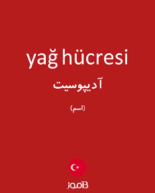  تصویر yağ hücresi - دیکشنری انگلیسی بیاموز