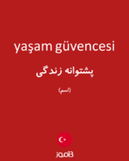  تصویر yaşam güvencesi - دیکشنری انگلیسی بیاموز