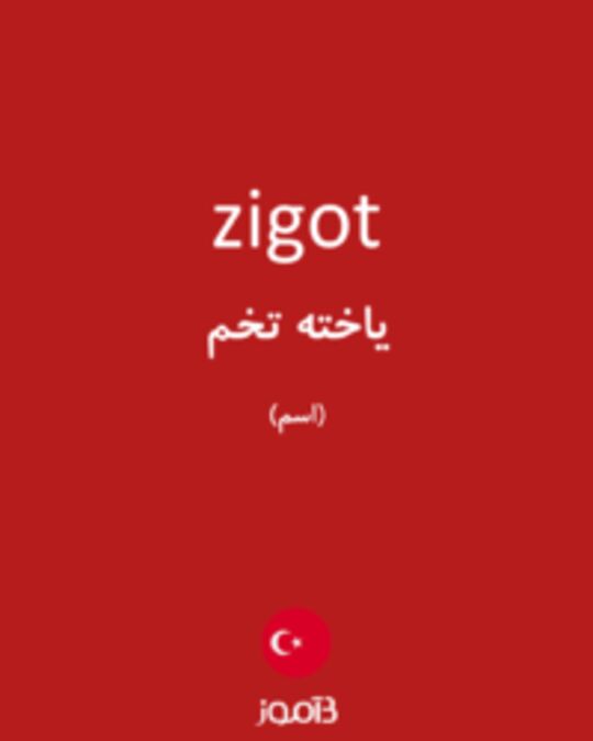  تصویر zigot - دیکشنری انگلیسی بیاموز