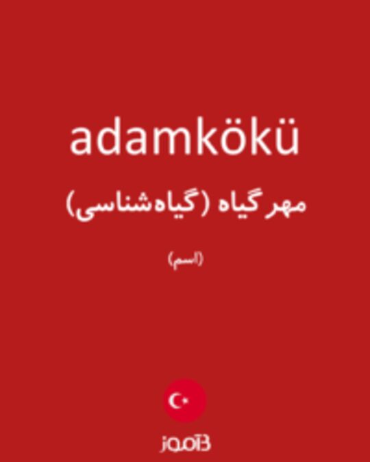  تصویر adamkökü - دیکشنری انگلیسی بیاموز