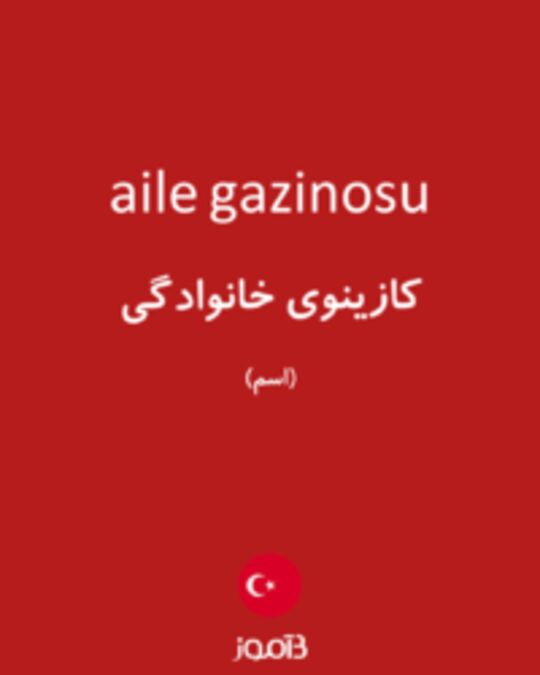  تصویر aile gazinosu - دیکشنری انگلیسی بیاموز