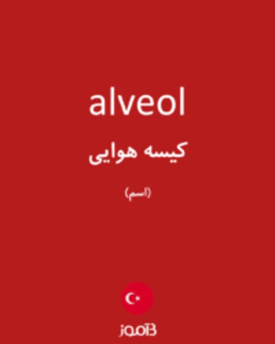  تصویر alveol - دیکشنری انگلیسی بیاموز