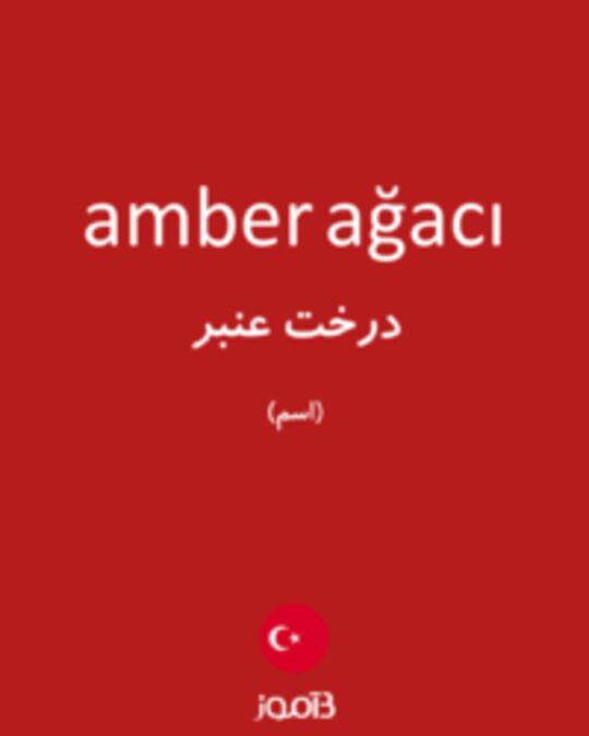  تصویر amber ağacı - دیکشنری انگلیسی بیاموز