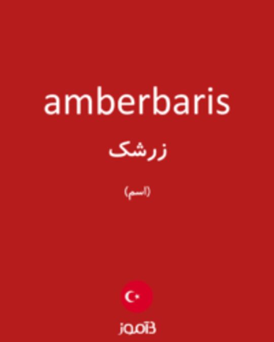  تصویر amberbaris - دیکشنری انگلیسی بیاموز