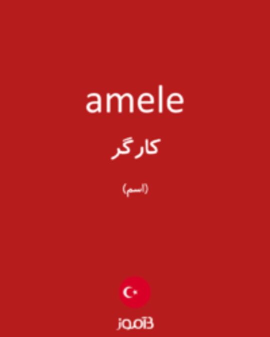  تصویر amele - دیکشنری انگلیسی بیاموز