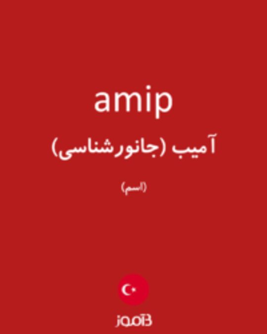  تصویر amip - دیکشنری انگلیسی بیاموز