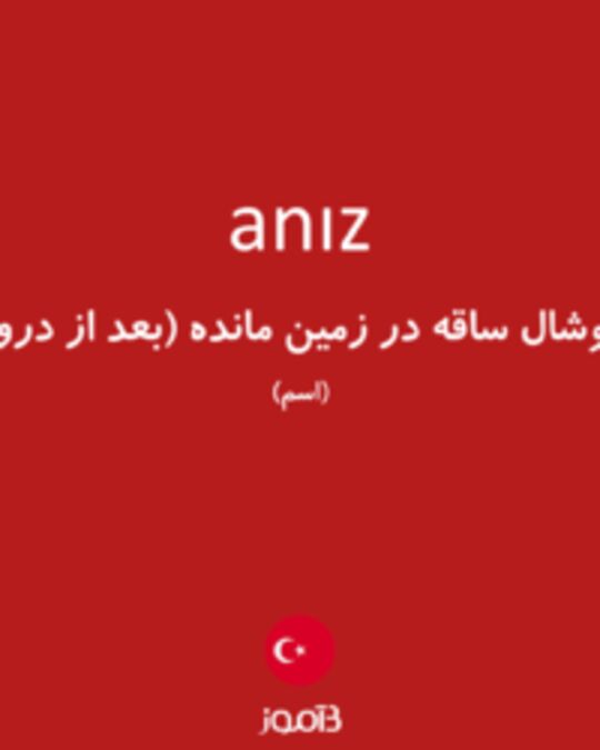  تصویر anız - دیکشنری انگلیسی بیاموز