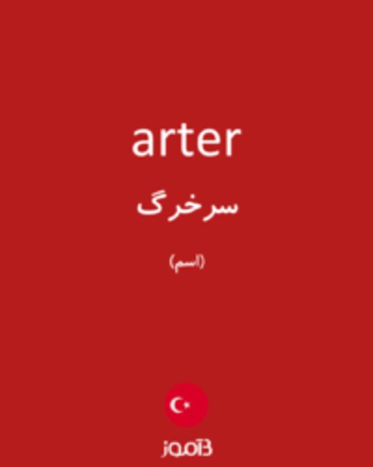  تصویر arter - دیکشنری انگلیسی بیاموز