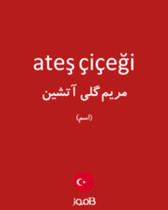  تصویر ateş çiçeği - دیکشنری انگلیسی بیاموز