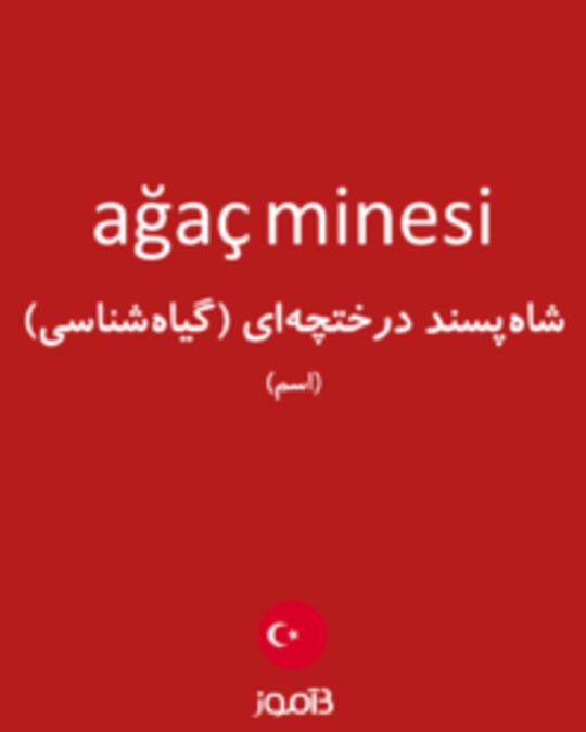  تصویر ağaç minesi - دیکشنری انگلیسی بیاموز