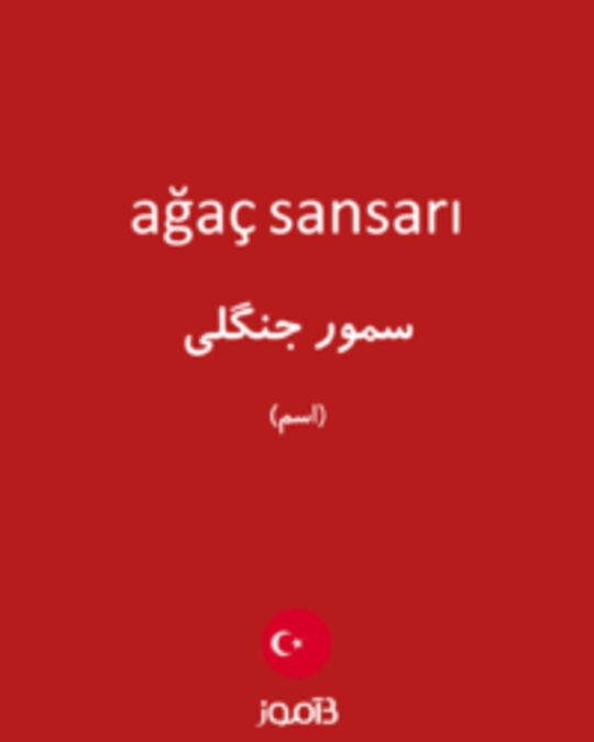  تصویر ağaç sansarı - دیکشنری انگلیسی بیاموز