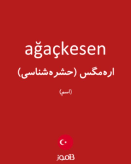  تصویر ağaçkesen - دیکشنری انگلیسی بیاموز